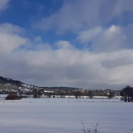 公寓 Parkblick - Wunderschoene 52qm Dachterasse - In Der Naehe Von Center Parcs 梅德巴赫