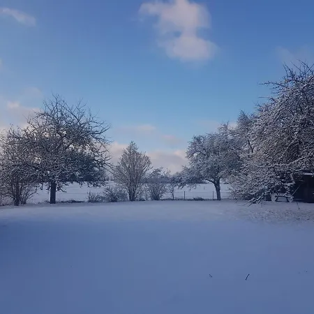 Parkblick - Wunderschoene 52qm Dachterasse - In Der Naehe Von Center Parcs 梅德巴赫