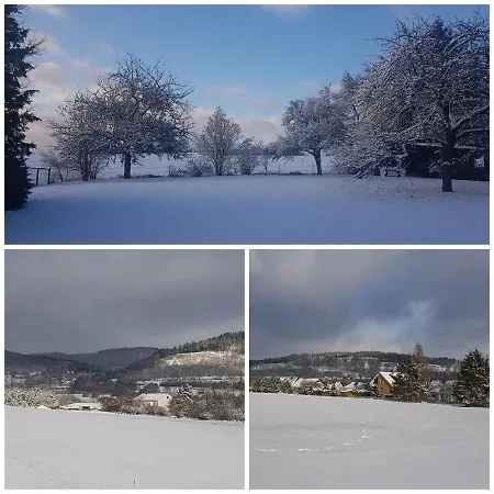 Parkblick - Wunderschoene 52qm Dachterasse - In Der Naehe Von Center Parcs 公寓 梅德巴赫