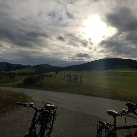 Parkblick - Wunderschoene 52qm Dachterasse - In Der Naehe Von Center Parcs 公寓