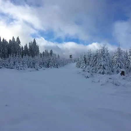 Parkblick - Wunderschoene 52qm Dachterasse - In Der Naehe Von Center Parcs 梅德巴赫