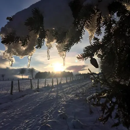 公寓 Parkblick - Wunderschoene 52qm Dachterasse - In Der Naehe Von Center Parcs *