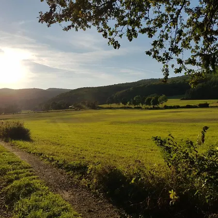 Parkblick - Wunderschoene 52qm Dachterasse - In Der Naehe Von Center Parcs