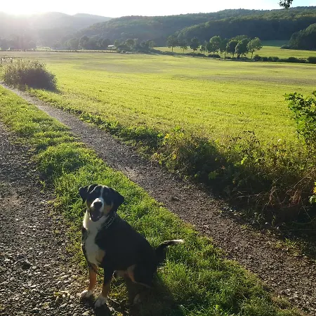 Parkblick - Wunderschoene 52qm Dachterasse - In Der Naehe Von Center Parcs