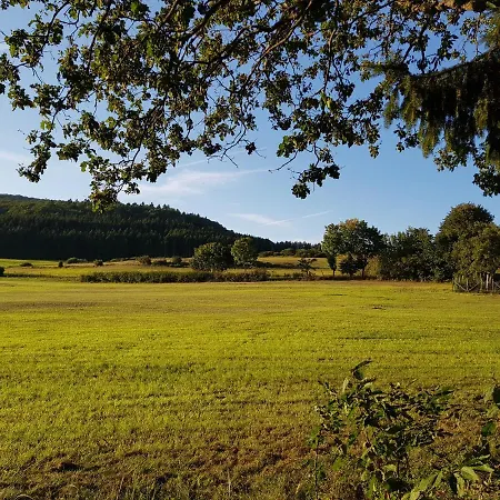Parkblick