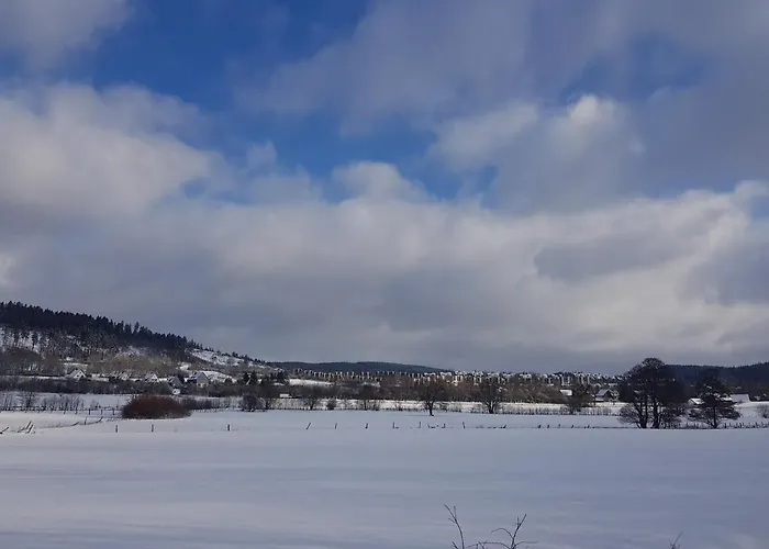 아파트 Parkblick - Wunderschoene 52qm Dachterasse - In Der Naehe Von Center Parcs 메데바흐