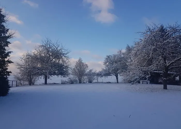 Parkblick - Wunderschoene 52qm Dachterasse - In Der Naehe Von Center Parcs Medebach