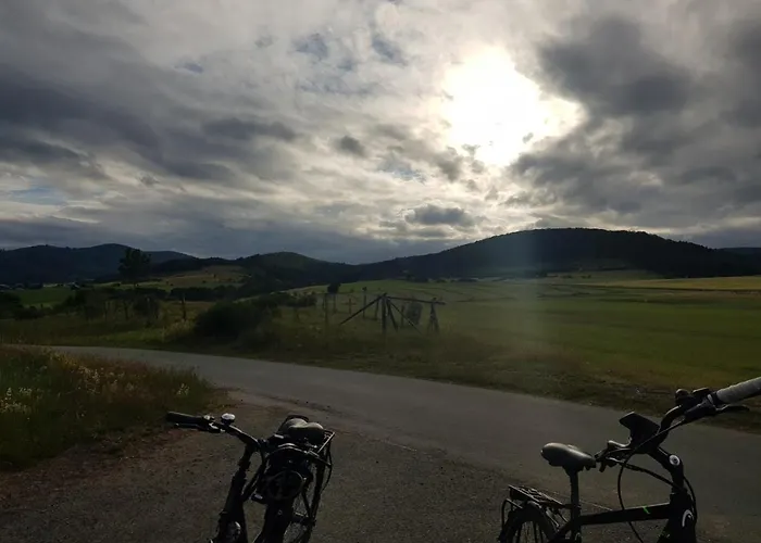 Parkblick - Wunderschoene 52qm Dachterasse - In Der Naehe Von Center Parcs Lejlighed