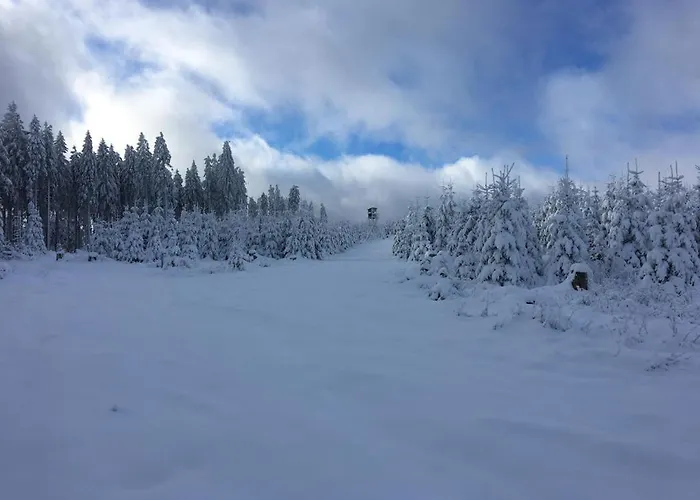 Parkblick - Wunderschoene 52qm Dachterasse - In Der Naehe Von Center Parcs מדבאך