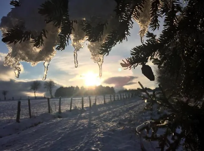 Lejlighed Parkblick - Wunderschoene 52qm Dachterasse - In Der Naehe Von Center Parcs *