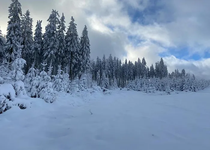 Parkblick - Wunderschoene 52qm Dachterasse - In Der Naehe Von Center Parcs * מדבאך