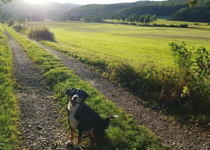 Parkblick - Wunderschoene 52qm Dachterasse - In Der Naehe Von Center Parcs